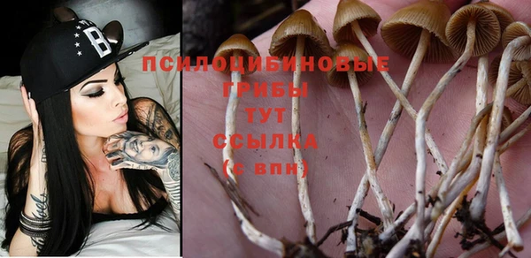 стафф Алексин