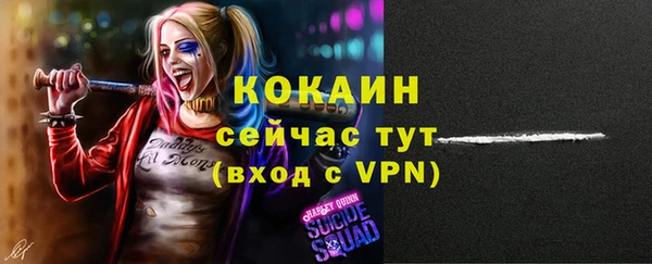 стафф Алексин
