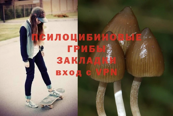 стафф Алексин